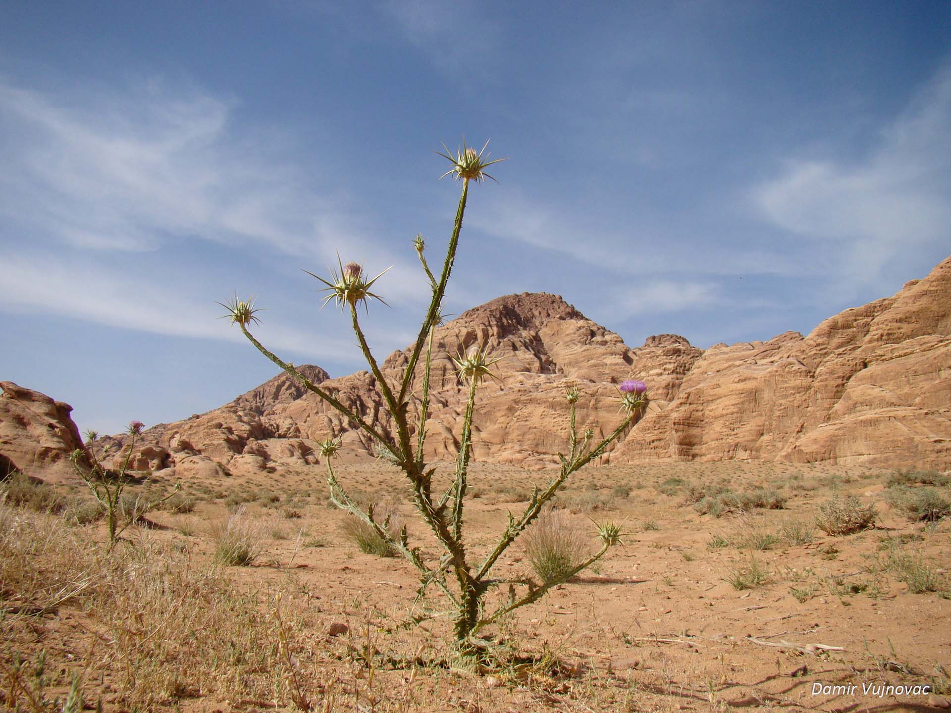 Wadi Rum, Jordan