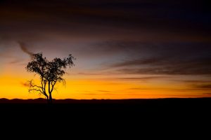 Namibia Namib Sunset