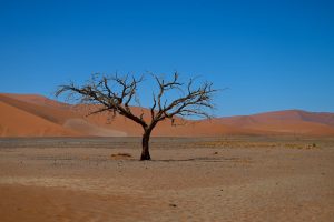 Sossus Vlei Namibia Sand Dunes Namib