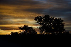 Etosha Namibia Sunrise