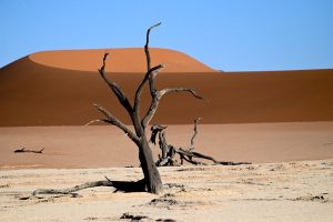 Deadvlei Namibia