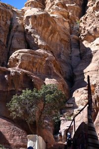 Petra Jordan - Damir Vujnovac