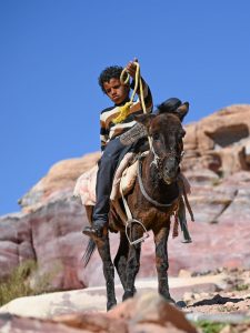 Petra Jordan - Damir Vujnovac